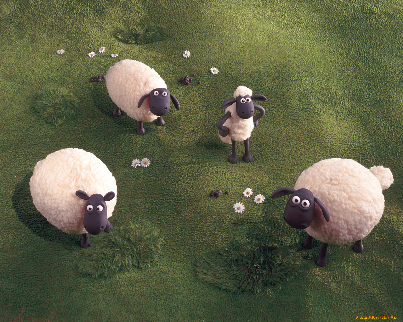 , shaun, the, sheep